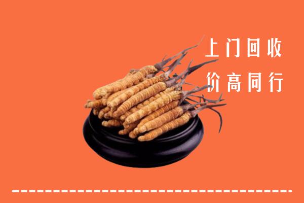 高价求购：巴音郭楞回收散虫草