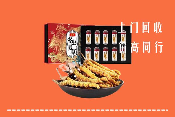 巴音郭楞回收虫草